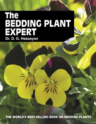 The New Bedding Plant expert