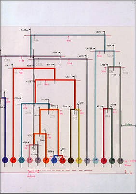 Image for Alison Turnbull: Vitis Vinifera L. Alison Turnbull: Vitis Vinifera L.