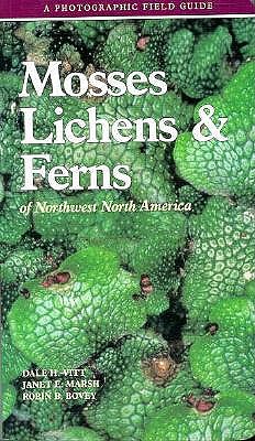 Image for Mosses Lichens & Ferns of Northwest North America Mosses Lichens & Ferns of Northwest North America