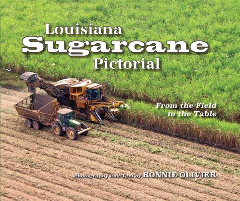 Louisiana Sugarcane Pictorial
