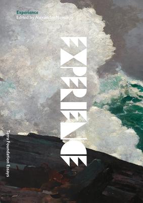 Experience (Volume 4) (Terra Foundation Essays)