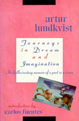 Image for Journeys in Dream and Imagination Journeys in Dream and Imagination