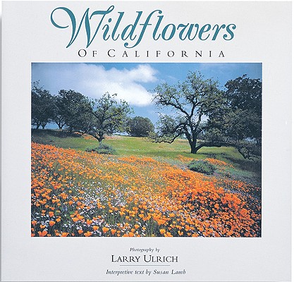 Wildflowers of California