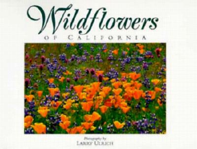Wildflowers of California: Twenty Postcards (Companion Press Series) Image for Wildflowers of California: Twenty Postcards (Companion Press Series)