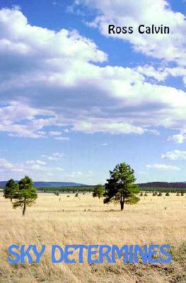 Image for Sky Determines: An Interpretation of the Southwest