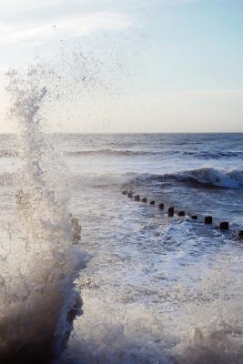 Christ Consciousness 101 Reasons Why