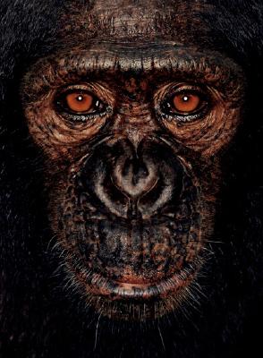 James and Other Apes
