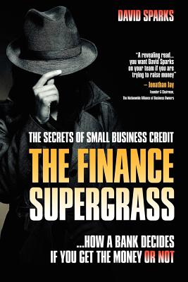 The Finance Supergrass, The Secrets of Small Business Credit: How a Bank Decides If You Get the Money or Not.