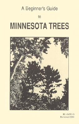 A BEginner's Guide To Minnesota Trees