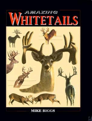 Image for Amazing Whitetails Amazing Whitetails