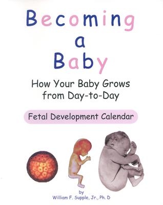 Image for Becoming a Baby: How Your Baby Grows from Day-to-Day