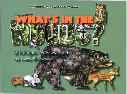 What's In the Woods: A Great Lakes Area Treasure Hunt