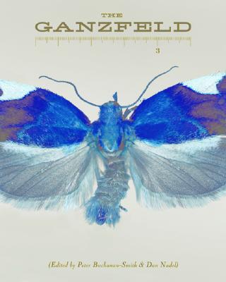 The Ganzfeld #3