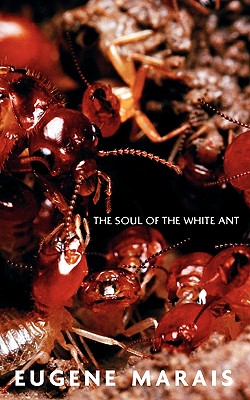 Image for The Soul of the White Ant