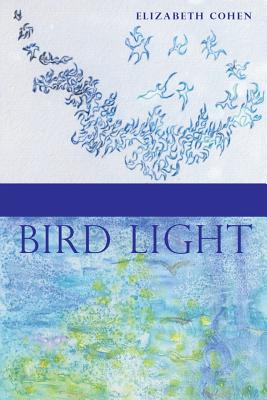 Image for Bird Light Bird Light