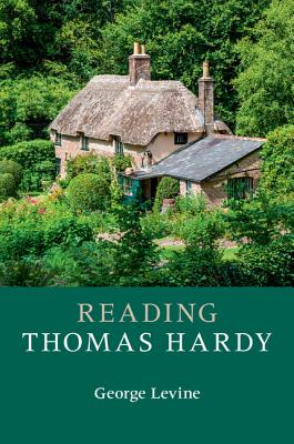 Image for Reading Thomas Hardy (Reading Writers and their Work)
