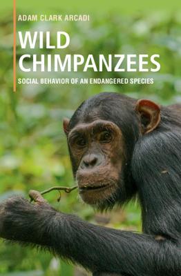 Image for Wild Chimpanzees: Social Behavior of an Endangered Species Wild Chimpanzees: Social Behavior of an Endangered Species