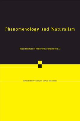 Phenomenology and Naturalism: Examining the Relationship between Human Experience and Nature