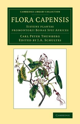 Flora Capensis : Sistens Plantas Promontorii Bonae Spei Africes