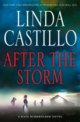 After the Storm: A Kate Burkholder Novel (Kate Burkholder, 7)
