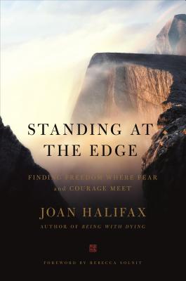 Standing At the Edge Finding Freedom Where Fear and Courage Meet