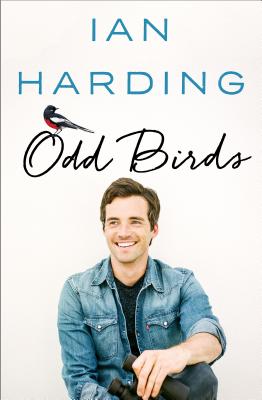 Image for Odd Birds Odd Birds