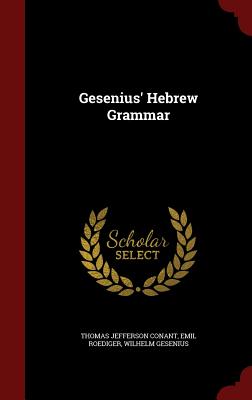 Image for Gesenius' Hebrew Grammar