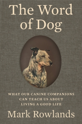 The Word Of Dog What Our Canine Companions Can Tea