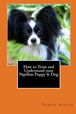 How to Train and Understand your Papillon Puppy & Dog