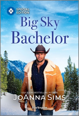 Big Sky Bachelor: Small-Town Romance with a Big-City Twist (The Brands of Montana, 16)