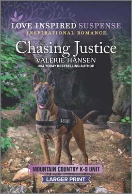 Chasing Justice (Original)