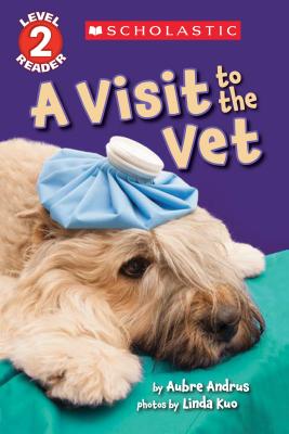 Image for Visit To The Vet, A