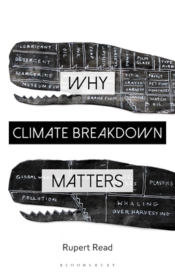 Image for Why Climate Breakdown Matters (Why Philosophy Matters)