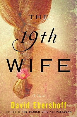 The 19th wife : a novel