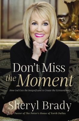 Image for Don't Miss the Moment: How God Uses the Insignificant to Create the Extraordinary