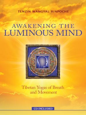 Awakening The Luminous Mind: Tibetan Meditation for Inner Peace and Joy
