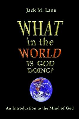Image for What in the World Is God Doing: An Introduction to the Mind of God