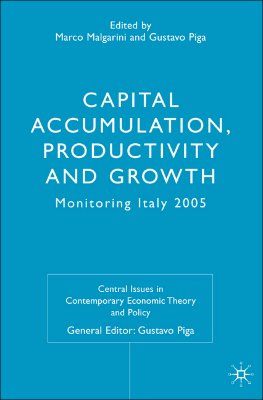 Capital Accumulation, Productivity and Growth: Monitoring Italy 2005 (Central Issues in Contemporary Economic Theory and Policy)