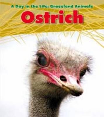 Ostrich (Day in the Life. Grassland Animals)