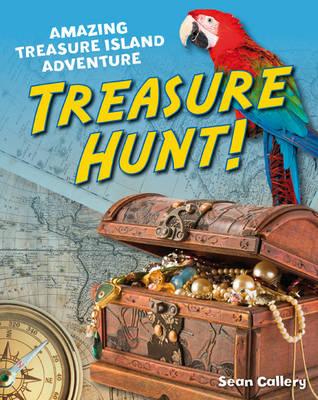 Treasure Hunt! (White Wolves Non-Fiction)