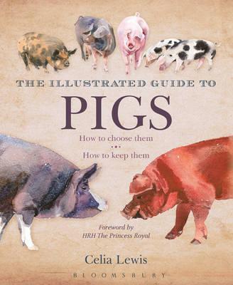 The Illustrated Guide to Pigs: How To Choose Them - How To Keep Them Lewis, Celia