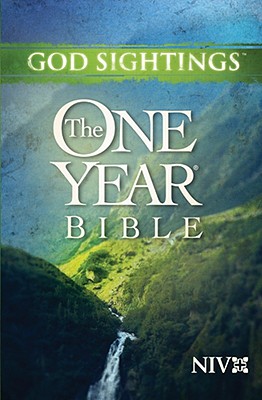 Image for God Sightings: The One Year Bible NIV