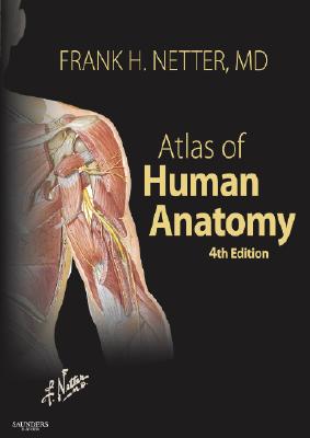 Image for Atlas of Human Anatomy, 4th Edition (Netter Basic Science)