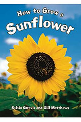 Literacy by Design: Big Book Grade 1 How To Grow A Sunflower