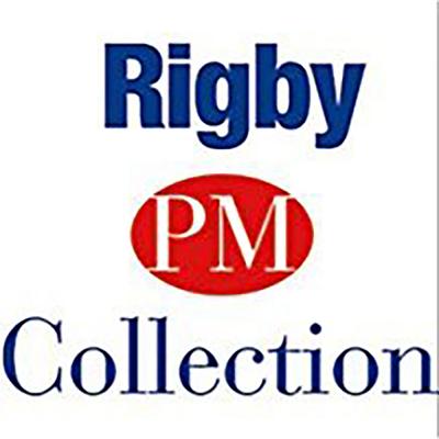 Lost at the Shopping Mall: Leveled Reader (Rigby Pm Benchmarks)