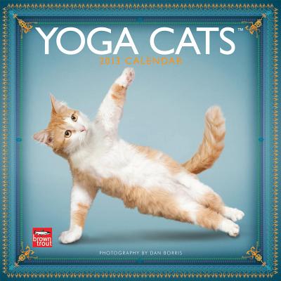Yoga Cats 2013 Calendar [Calendar] Borris, Dan
