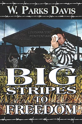 Big Stripes to Freedom