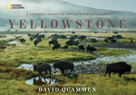 Yellowstone: a Journey through America's Wild Heart (Signed)