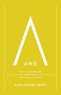 Awe: Why It Matters for Everything We Think, Say, and Do
