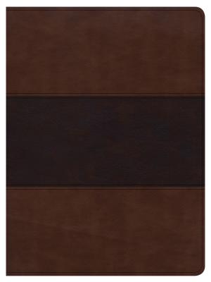 Image for CSB Apologetics Study Bible, Mahogany LeatherTouch